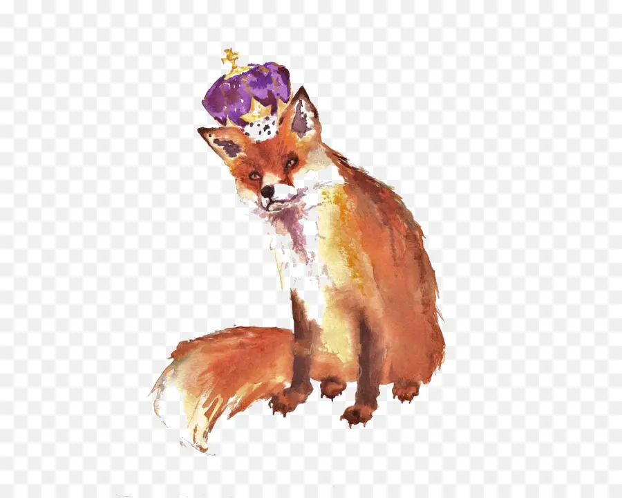 Fox，Pintura PNG