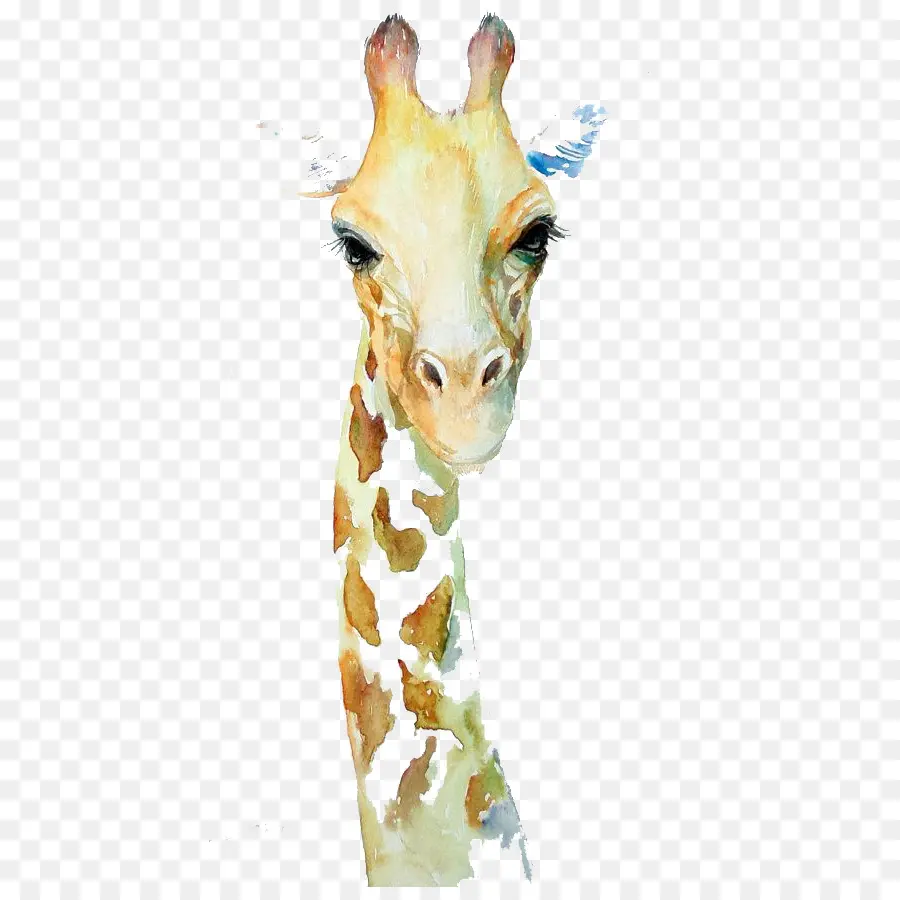 Girafa，Cabeça PNG