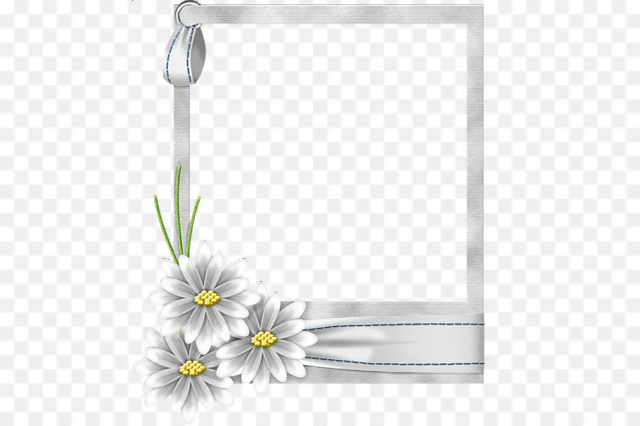 Quadro De Imagem，Flor PNG