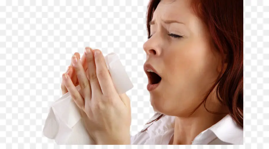Alergia，A Febre Do Feno PNG