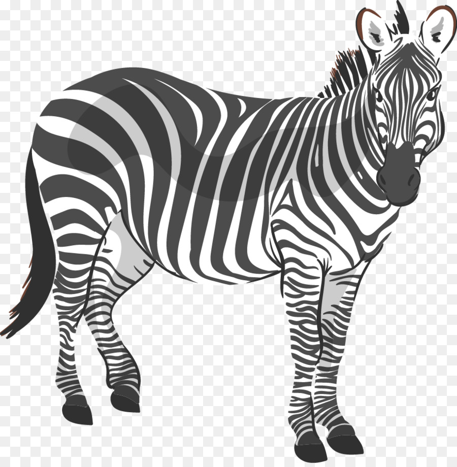 Zebra，Coreldraw PNG