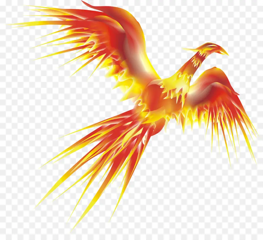 Phoenix，Resolução De Vídeo PNG