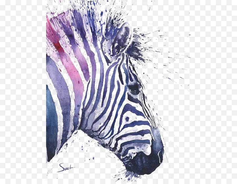 Zebra Aquarela，Aquarela PNG