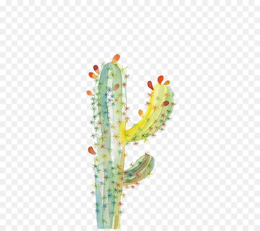 Ugallery，Cactaceae PNG