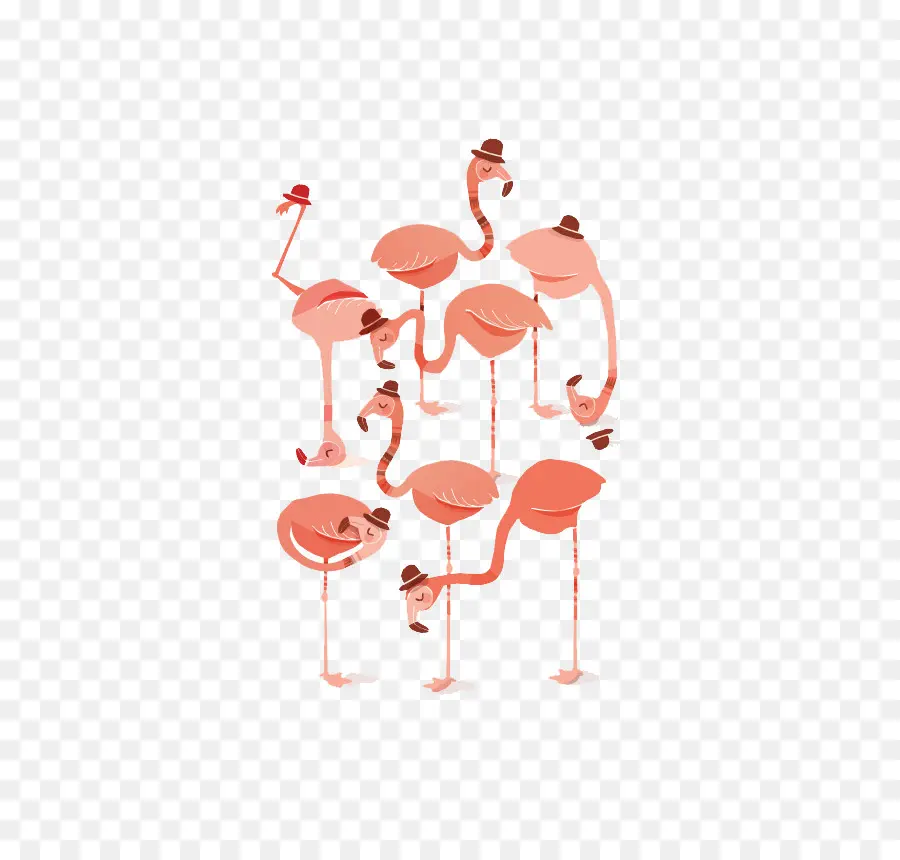 Grupo De Flamingos，Chapéus PNG