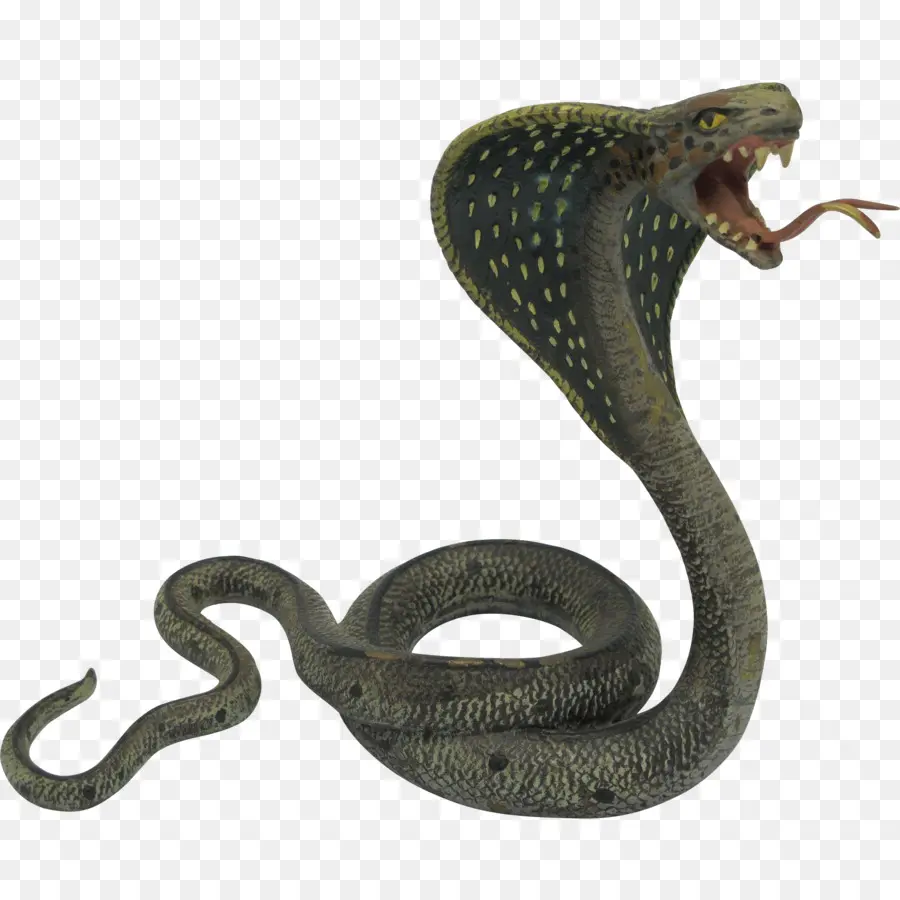 índio Cobra，Nós PNG