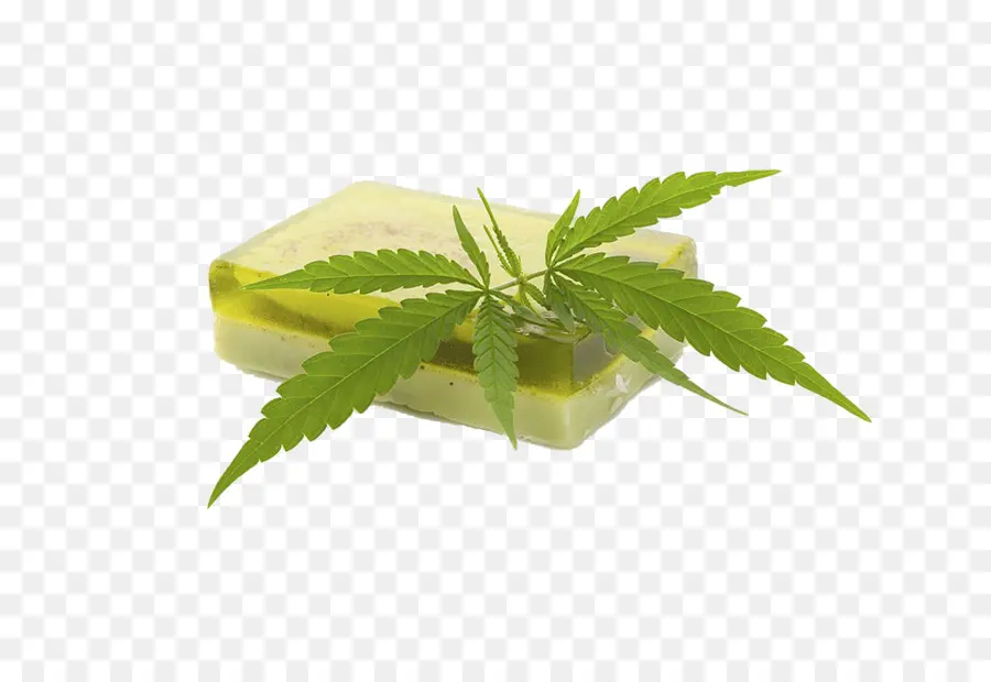 Sabonete De Cannabis，Folha PNG