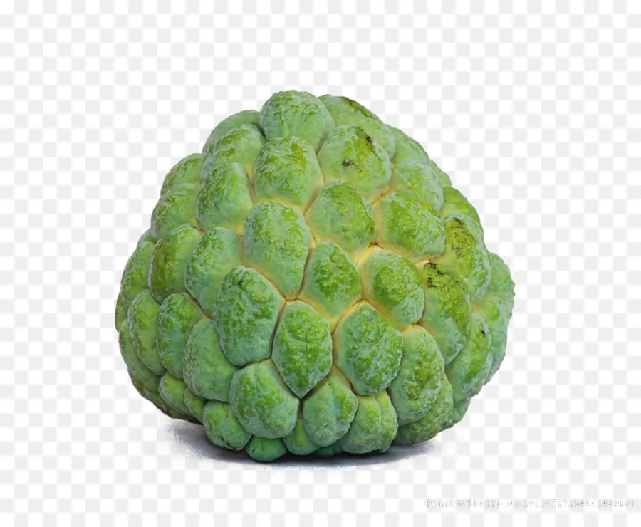 Suco De，Sugarapple PNG