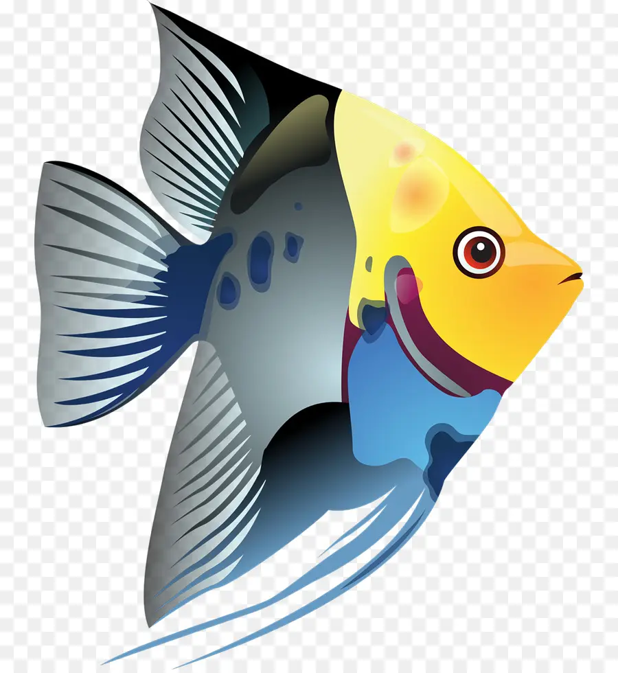 Peixes Tropicais，Peixe PNG