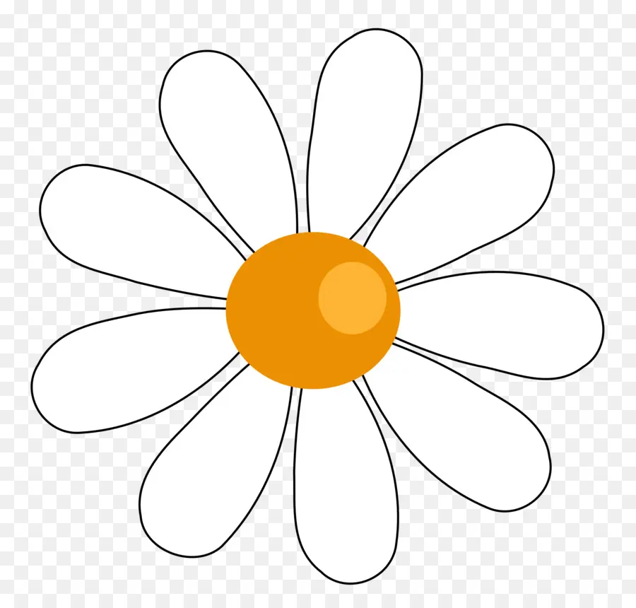 Conteúdo Grátis，Comum Daisy PNG