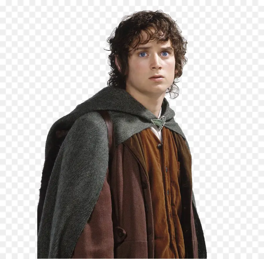 Frodo Baggins，O Senhor Dos Anéis A Sociedade Do Anel PNG