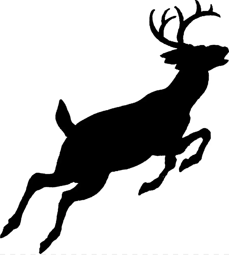 Deer，Whitetailed Veado PNG