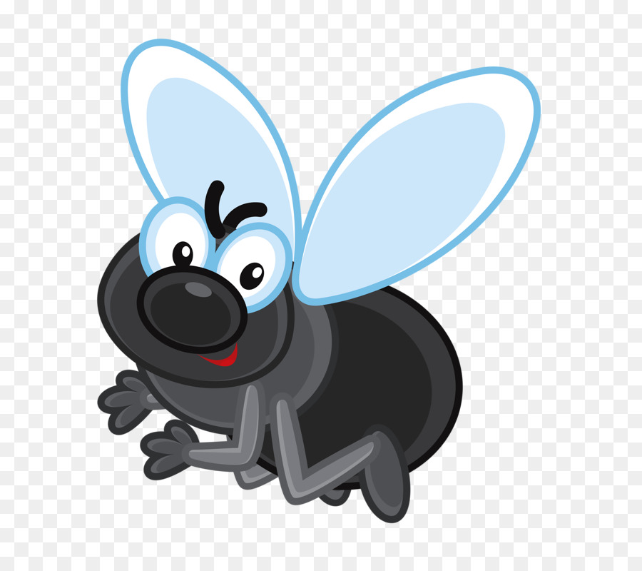 Mosca Dos Desenhos Animados，Doodle PNG