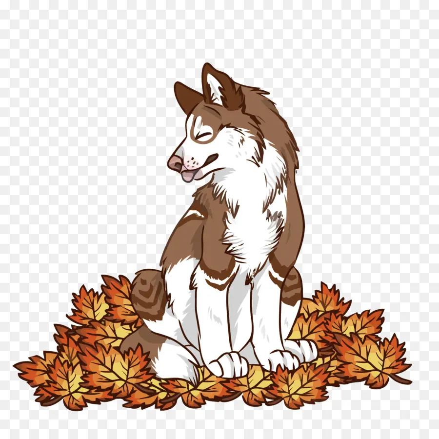 Husky Em Folhas，Cachorro PNG