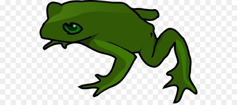 Kermit O Sapo，Sapo PNG