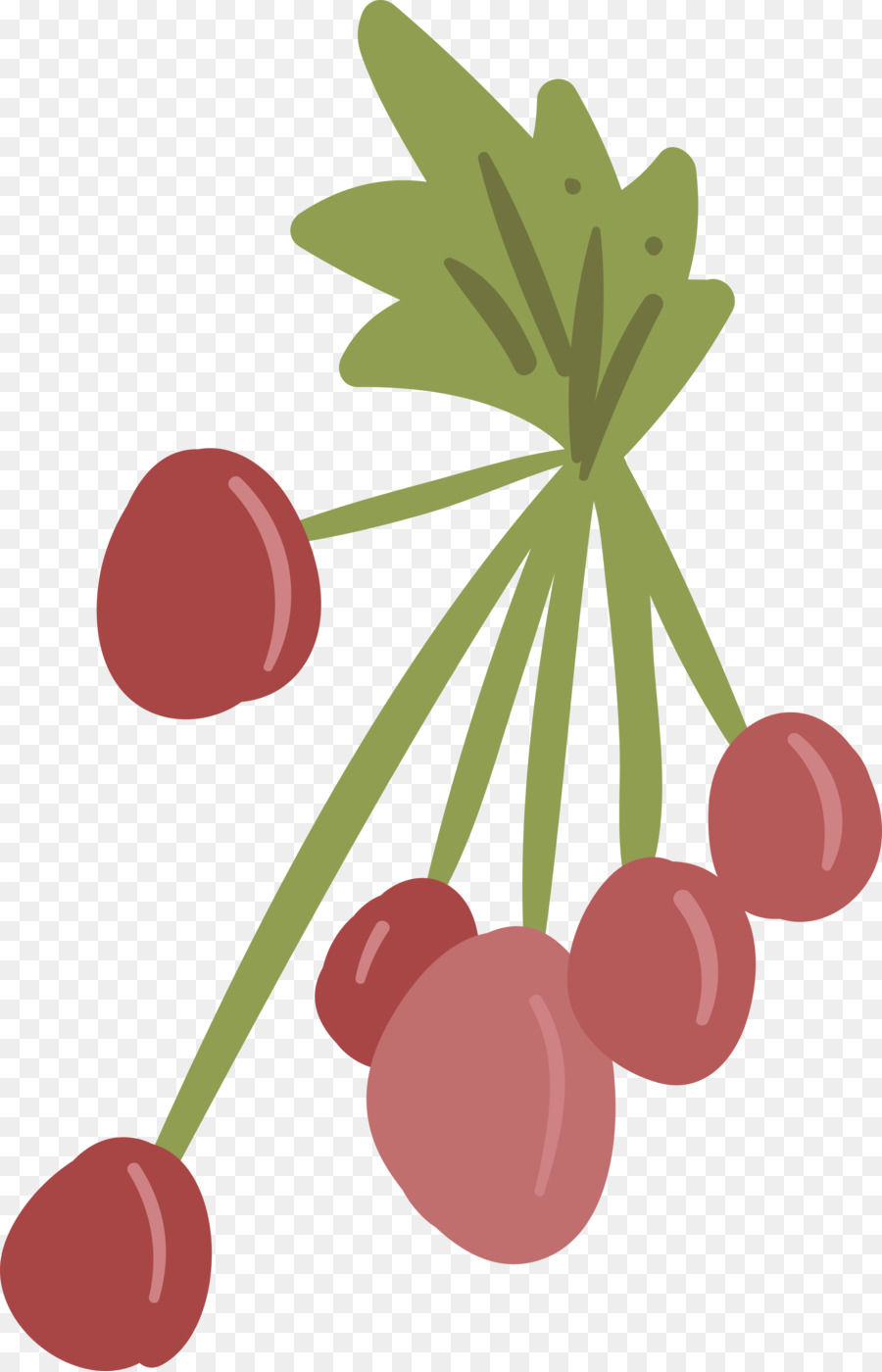 Bagas Vermelhas，Fruta PNG