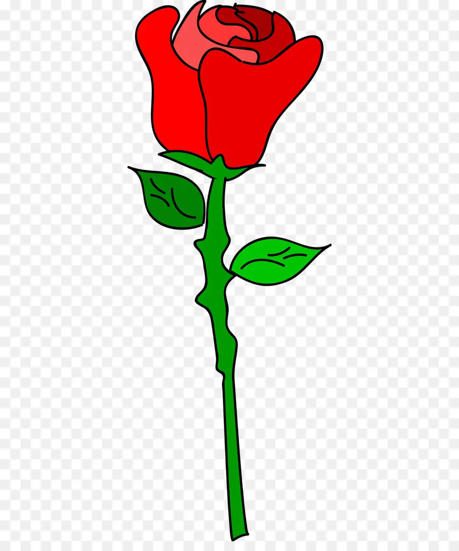 Rosa，Vermelho PNG