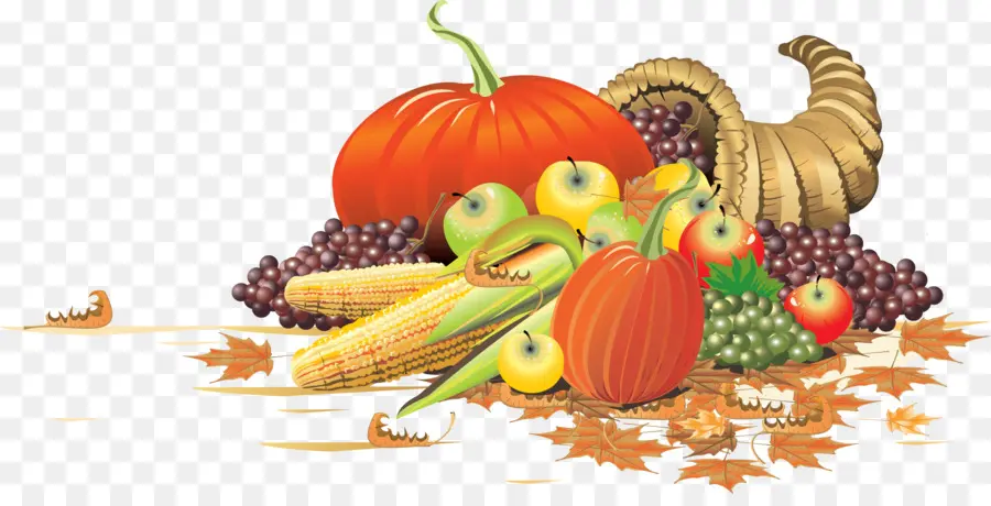 Cornucópia，Frutas PNG