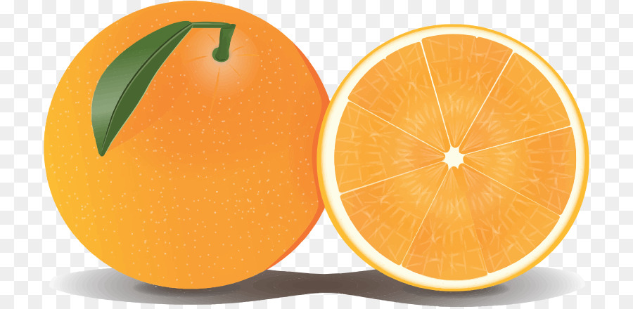 Fruta Laranja，Cítrico PNG