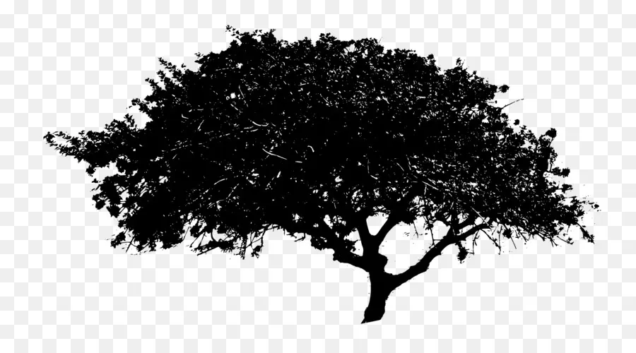 árvore，Pixel PNG