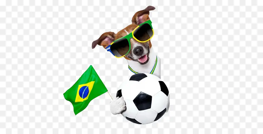 Cachorro，Futebol PNG