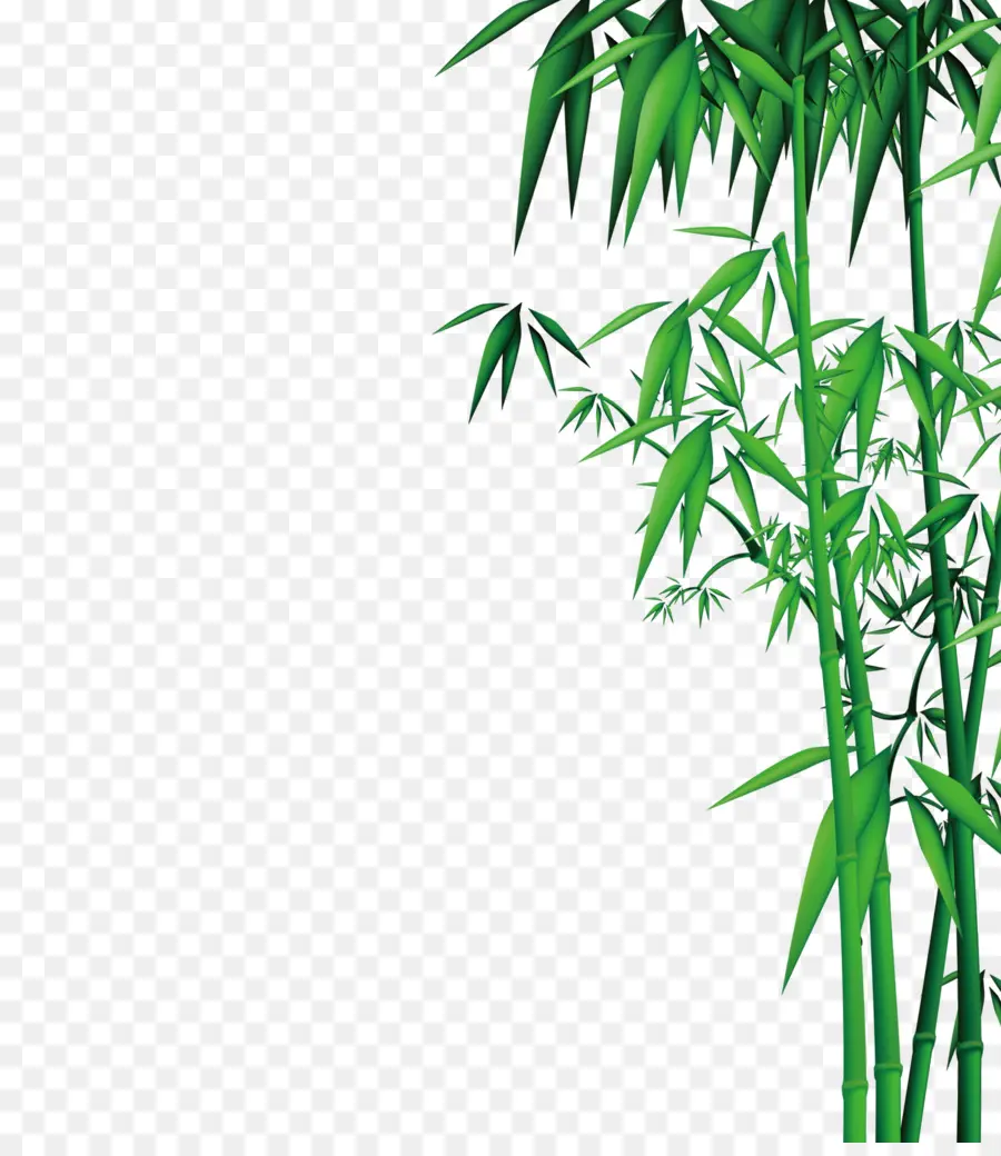 Bambu，Download PNG