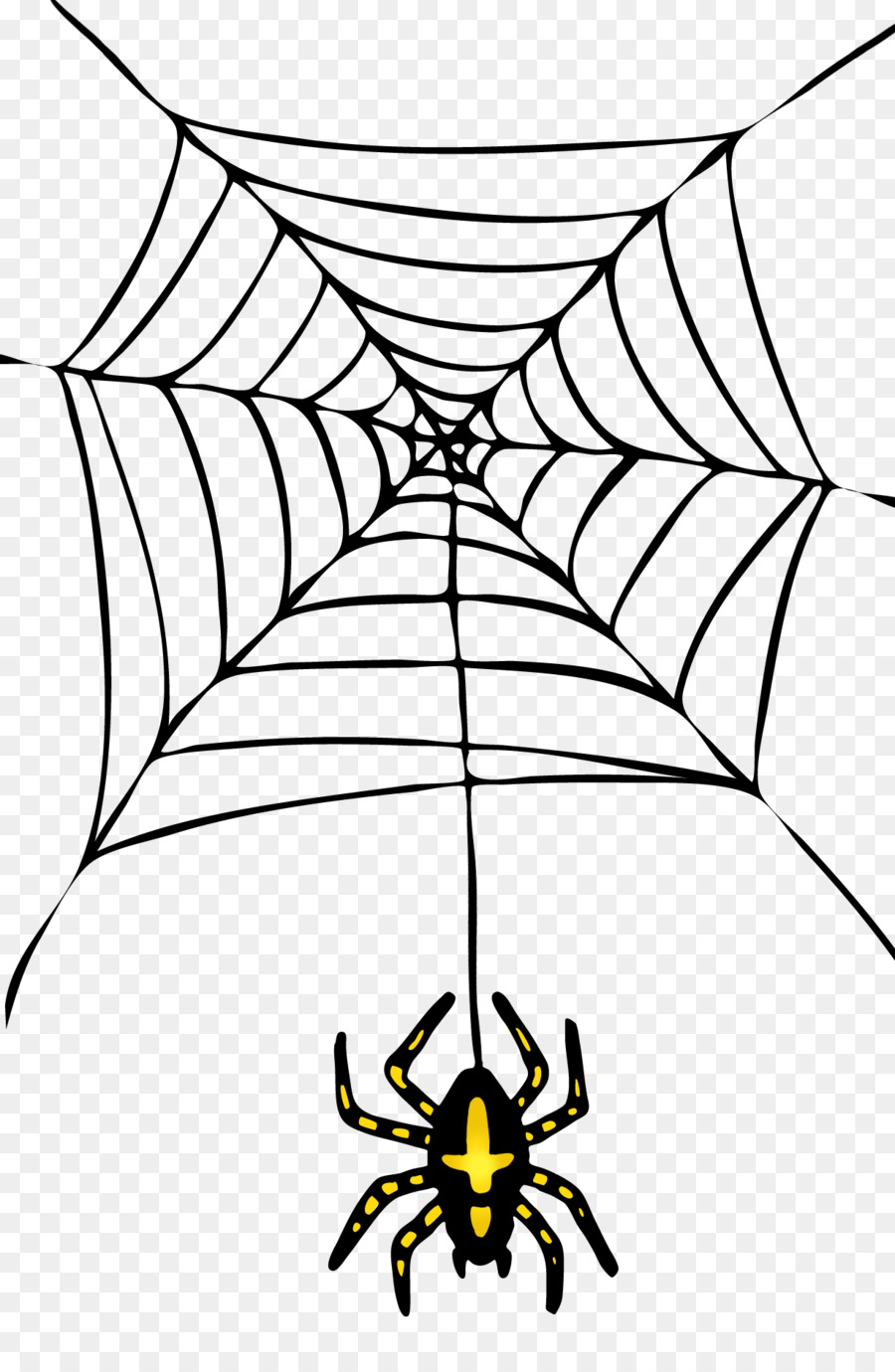 Aranha E Teia，Aranha PNG