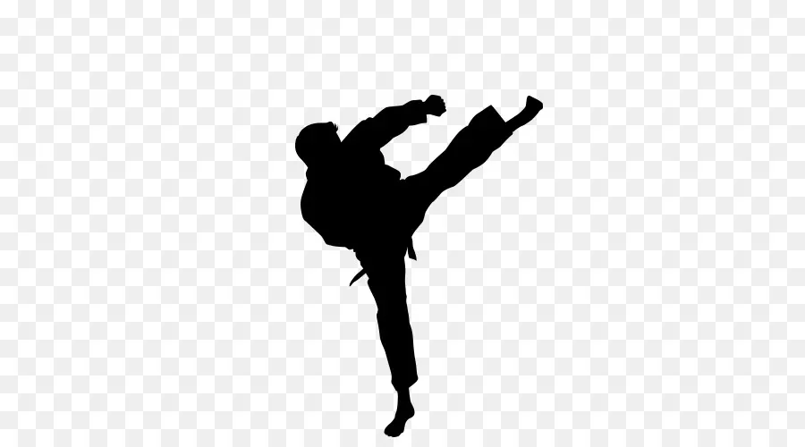 Karate，Chute PNG