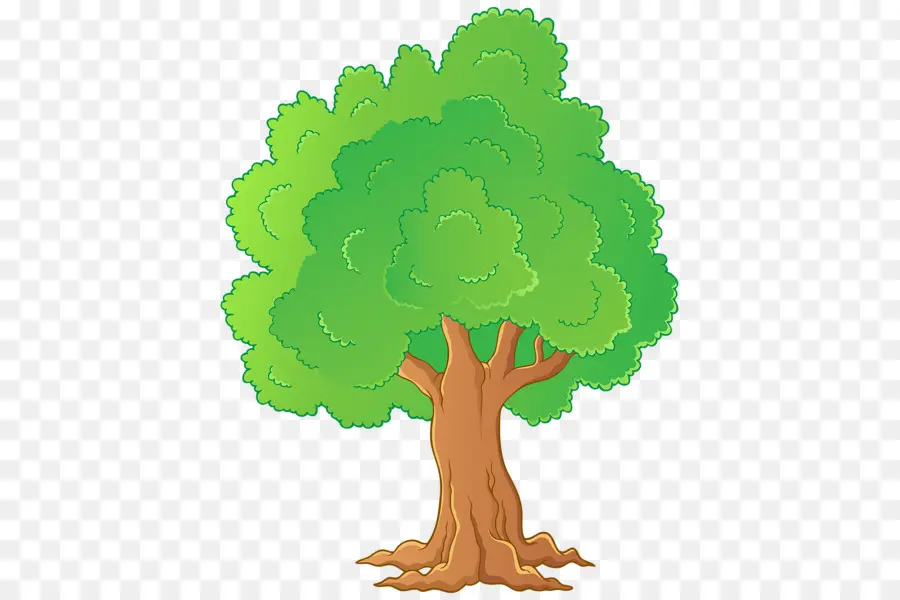árvore，Cor PNG