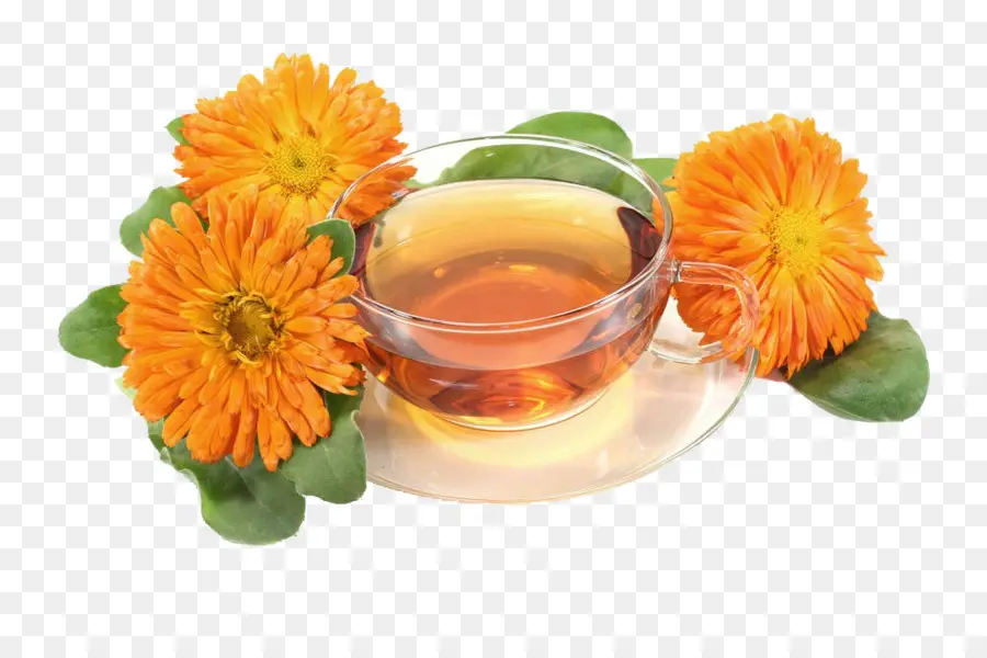 Chá Com Flores，Xícara PNG