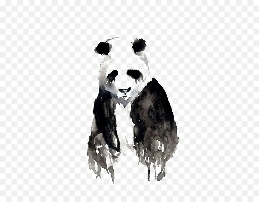 Panda Gigante，Pintura Em Aquarela PNG