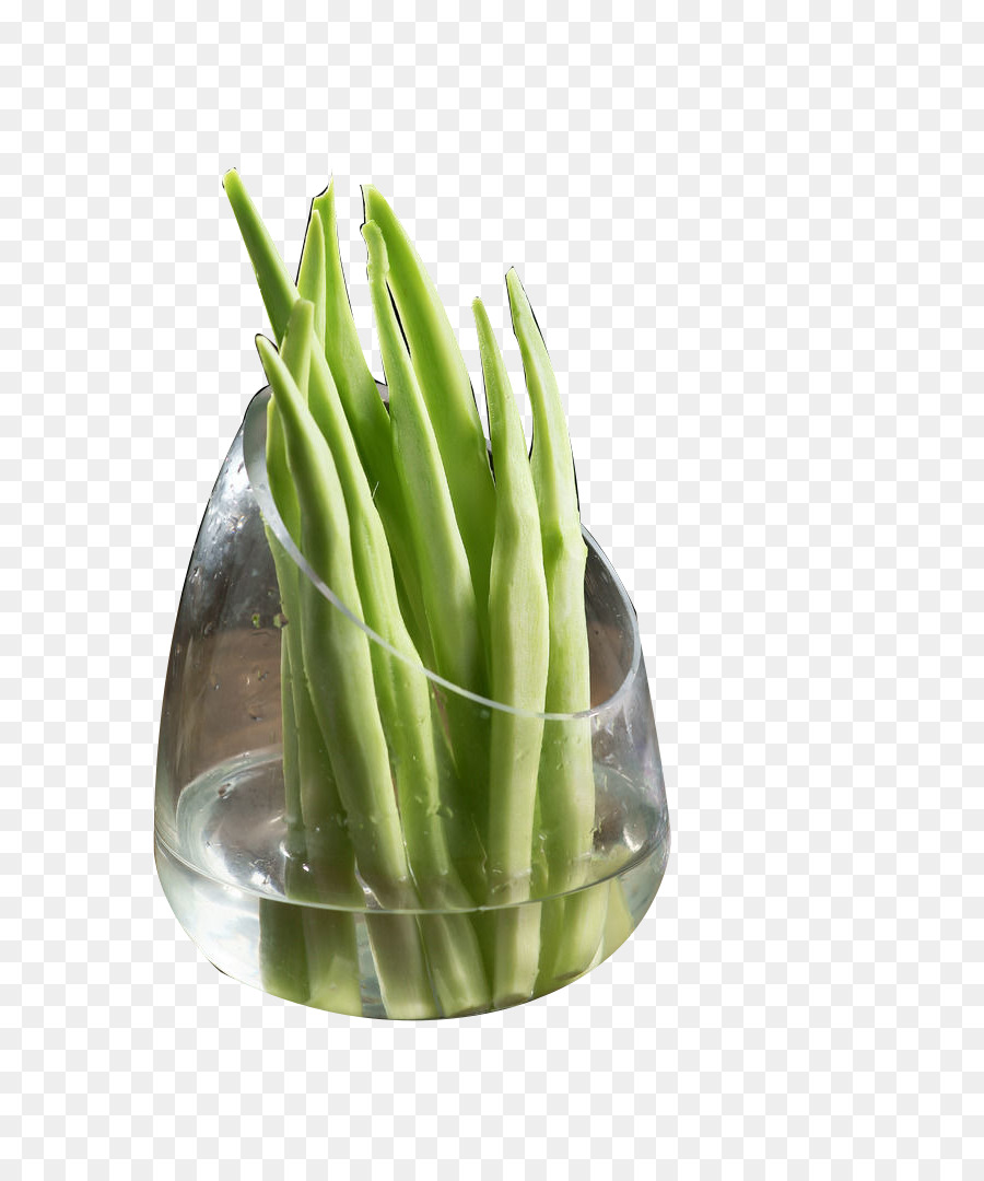 Couve，Vegetal PNG