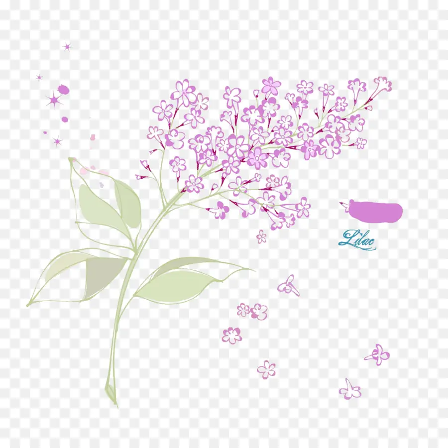 Flores Lilás，Filial PNG