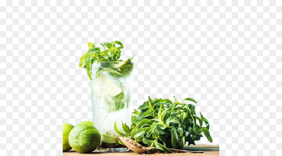 Mojito，Hortelã PNG