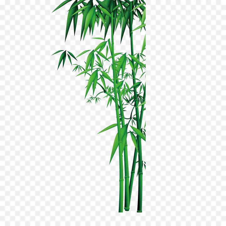 Bambu，Download PNG