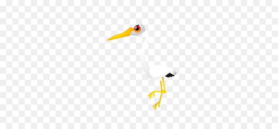 Aves，Pato PNG