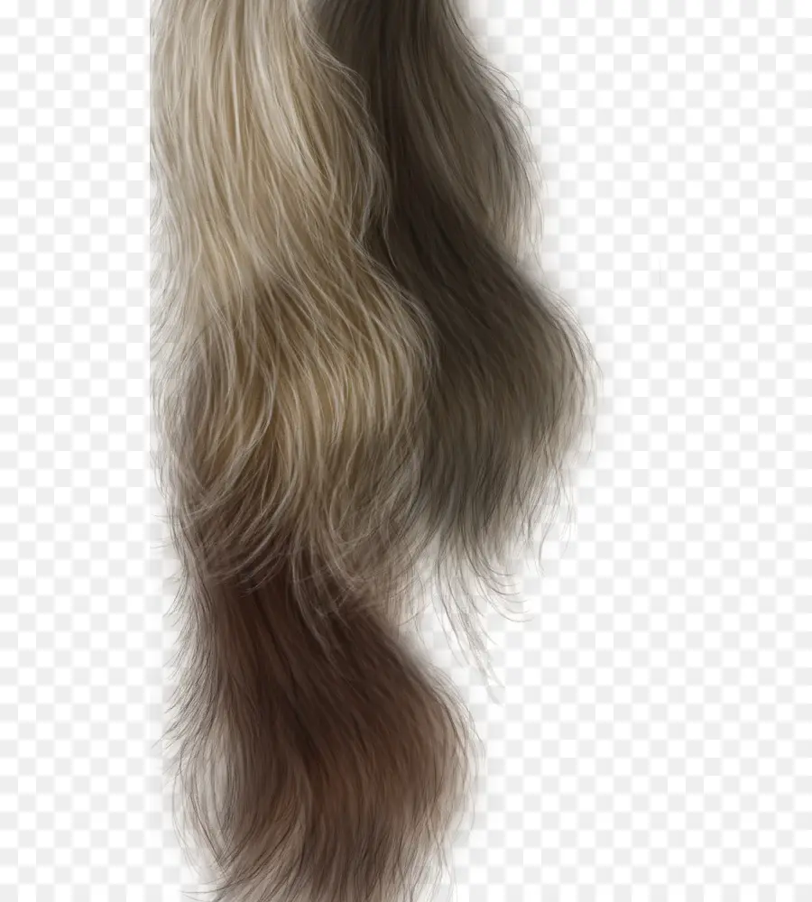 Cabelo，Cabelos Longos PNG