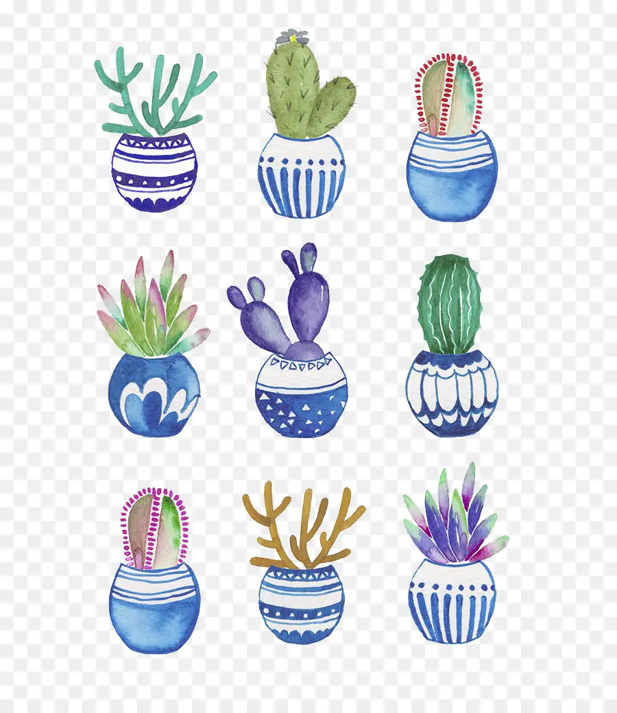 Flowerpot，Cactaceae PNG