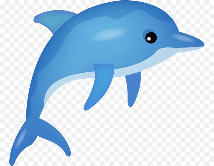Dolphin，Azul PNG