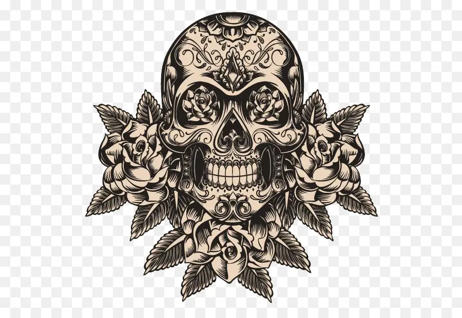 Calavera，Crânio PNG