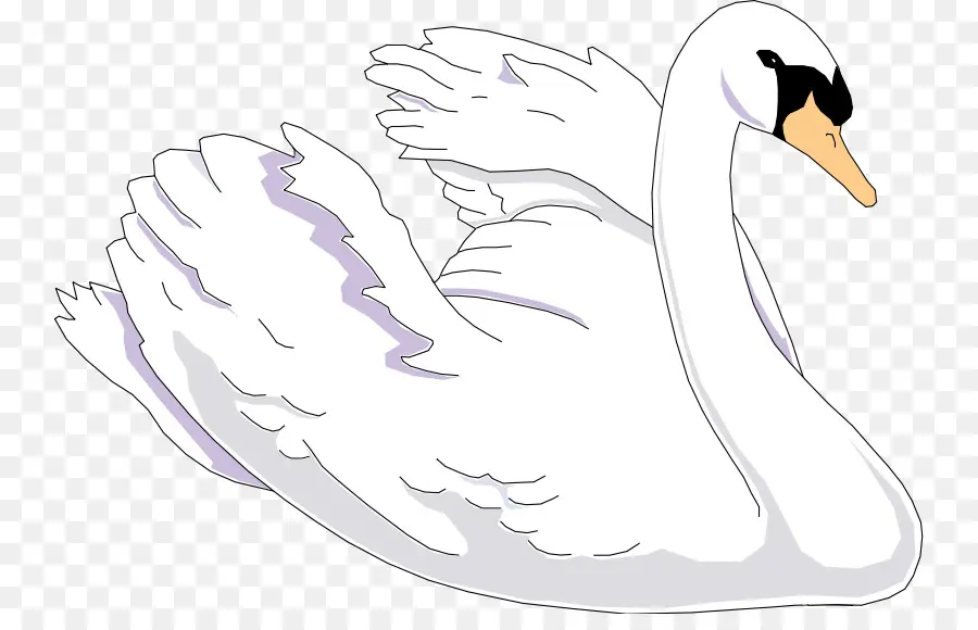 Cisne Negro，Miniatura PNG