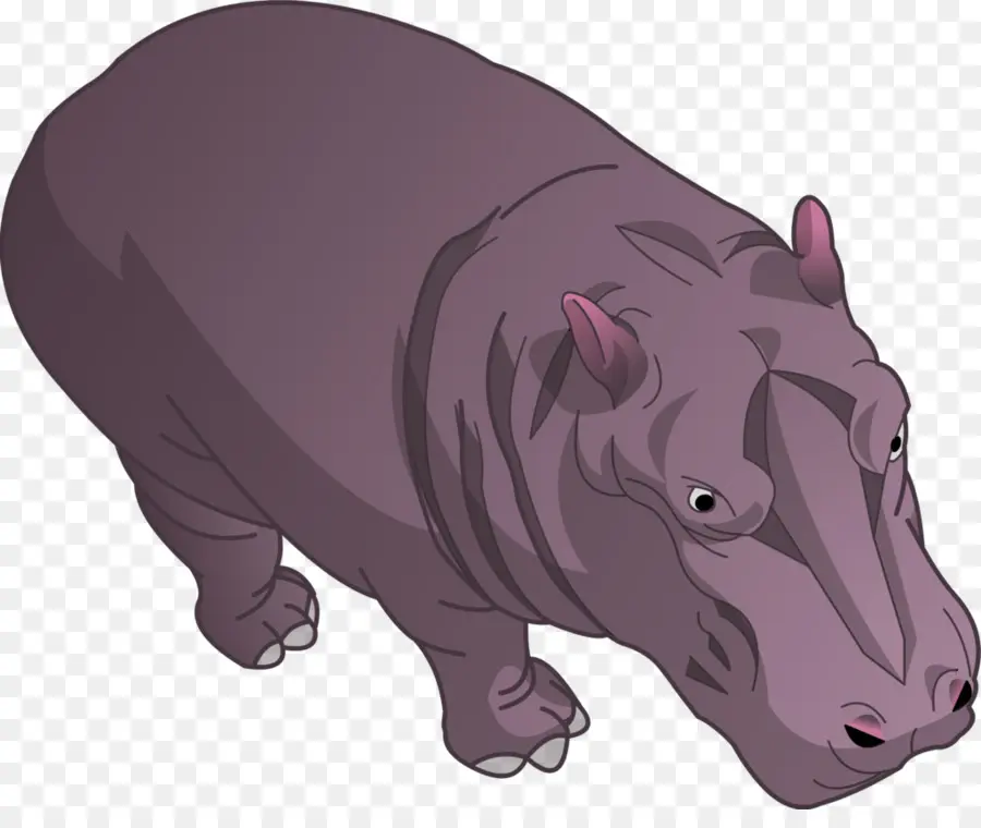 Hipopótamo，O Porco Doméstico PNG