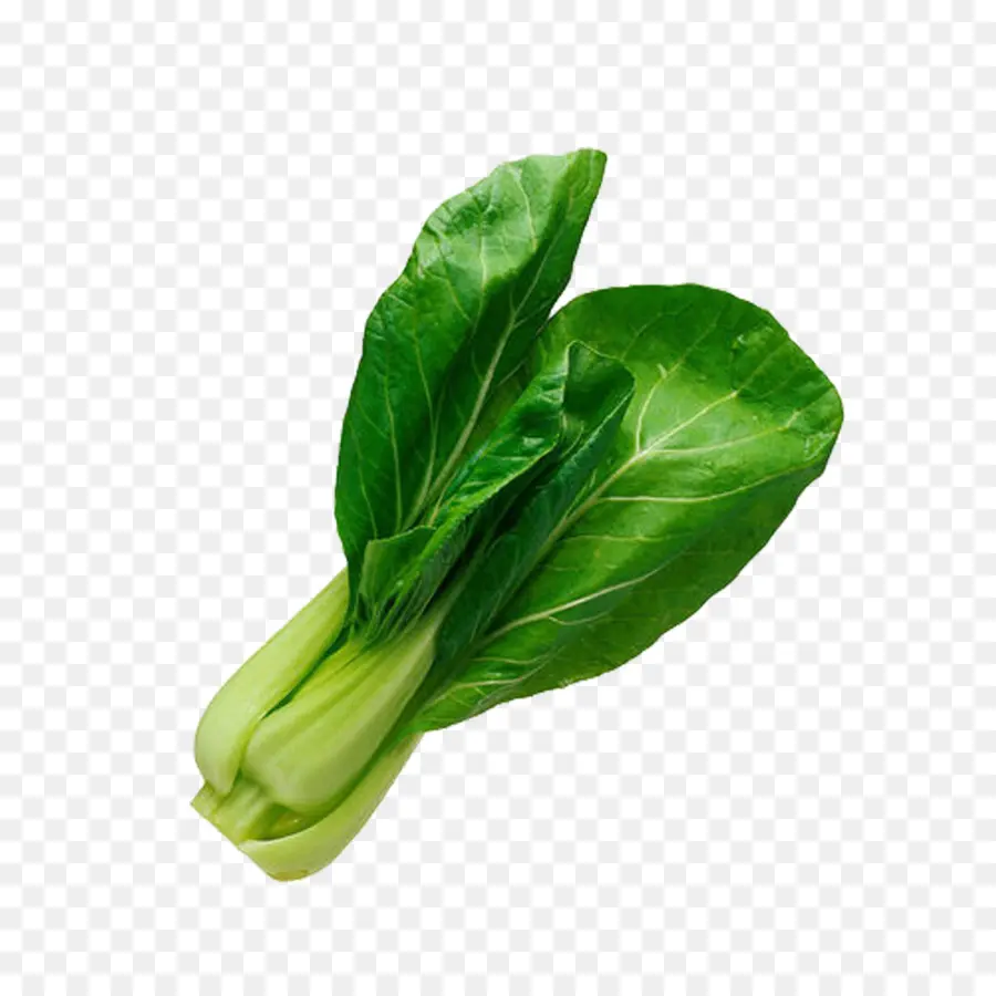 Bok Choy，Repolho Chinês PNG