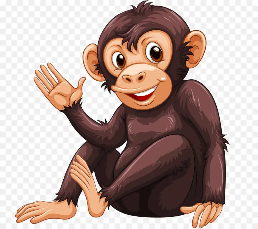 Chimpanzé，De Primatas PNG