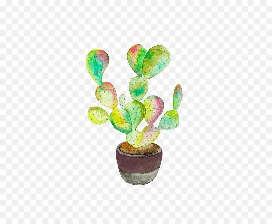 Cactaceae，Pintura Em Aquarela PNG