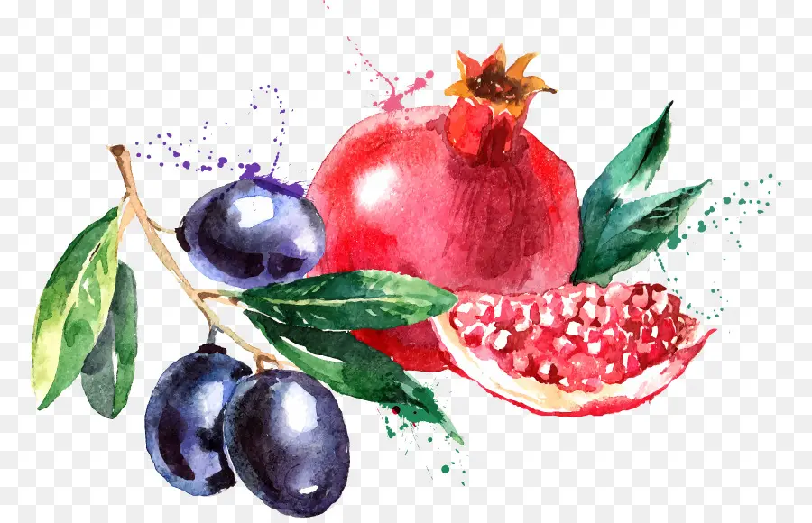 Pintura Em Aquarela，Frutas PNG