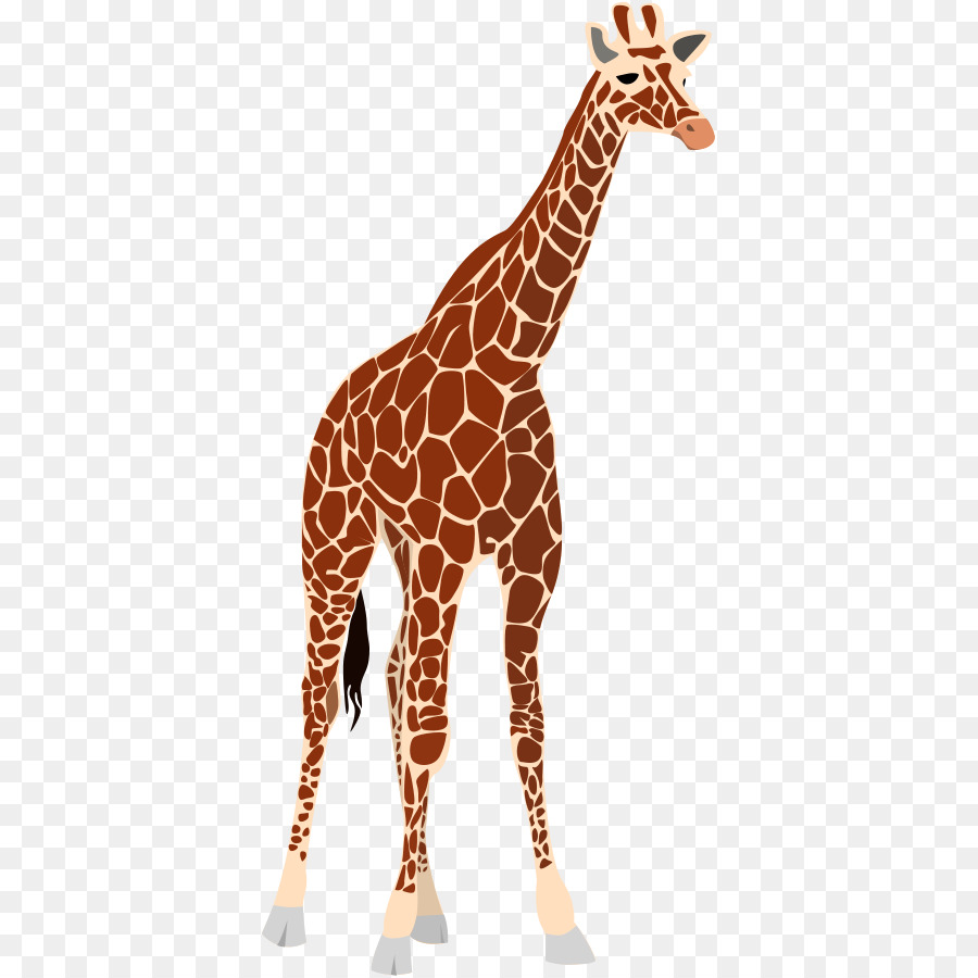 Girafa，Animais Selvagens PNG