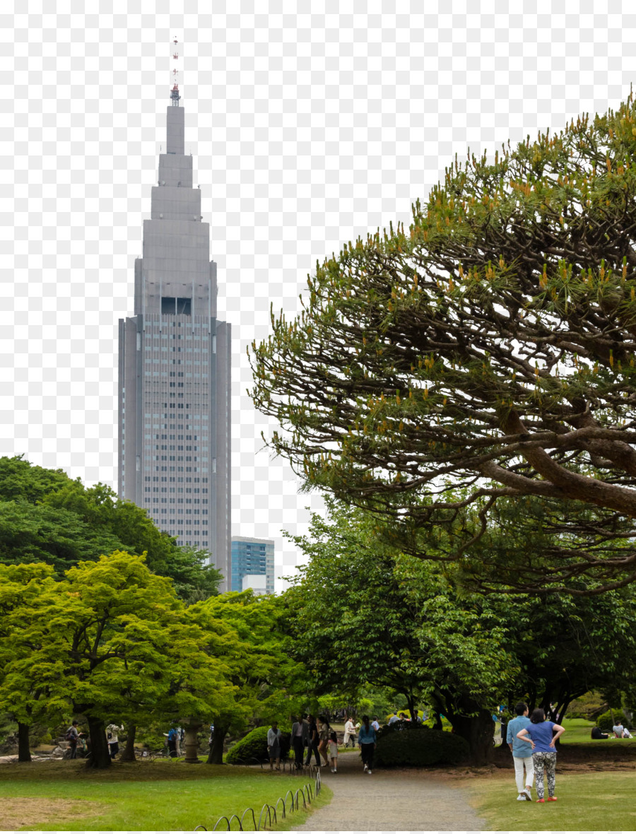 Santuário De Meiji，Odaiba PNG