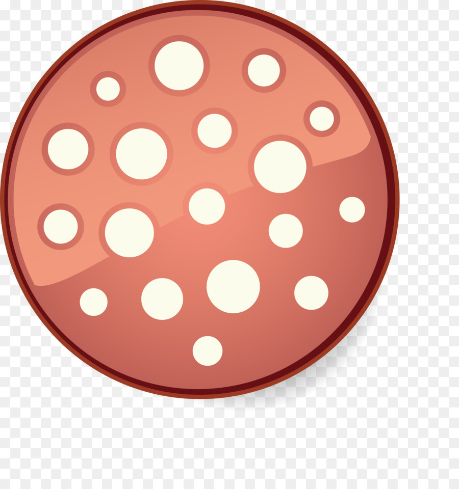 Presunto，Chocolate Chip Cookie PNG