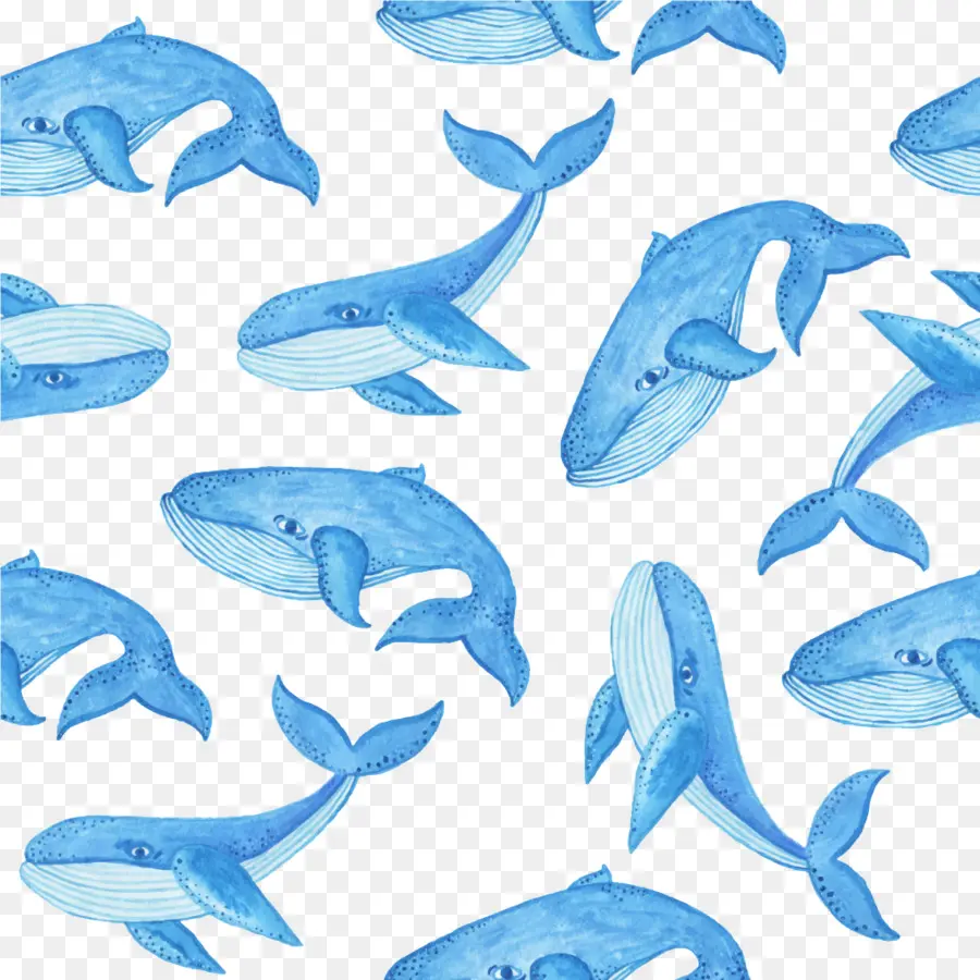 Baleia Azul，Baleia PNG